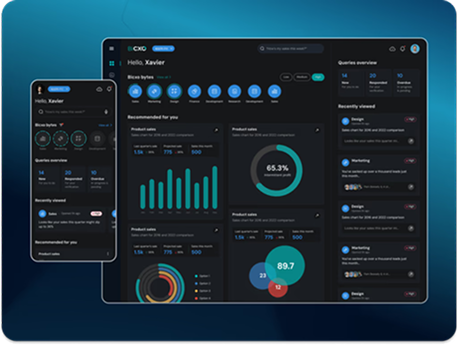 UI/UX for BI solution web app